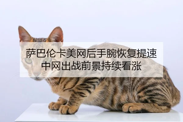 萨巴伦卡美网后手腕恢复提速 中网出战前景持续看涨